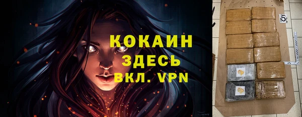 дурь Гусев