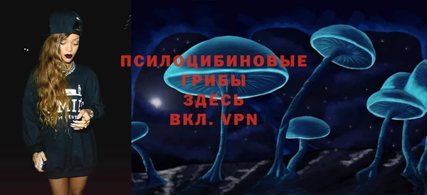 ECSTASY Гусиноозёрск