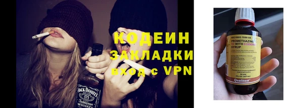 дурь Гусев