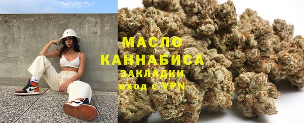 дурь Гусев