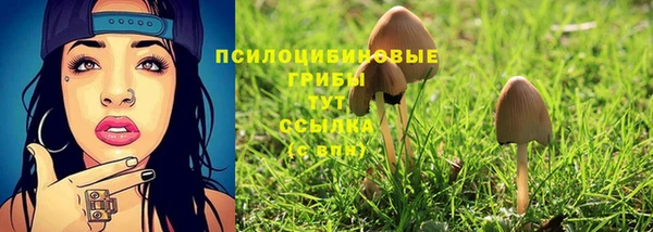 не бодяженный Гусь-Хрустальный
