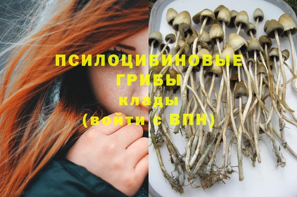 ECSTASY Гусиноозёрск