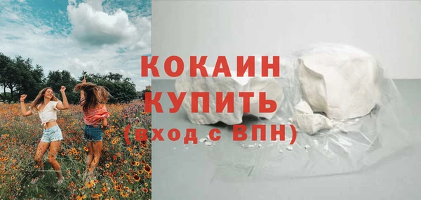 дурь Гусев