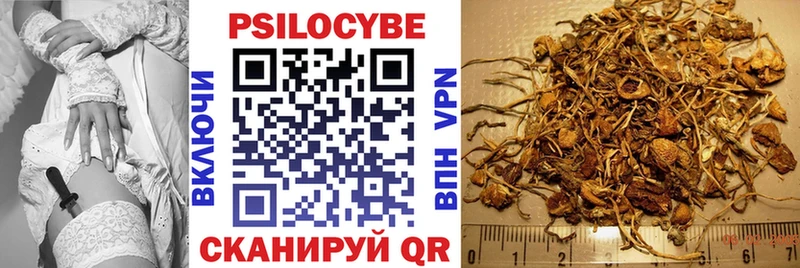 Псилоцибиновые грибы GOLDEN TEACHER  Купить  Оленегорск 